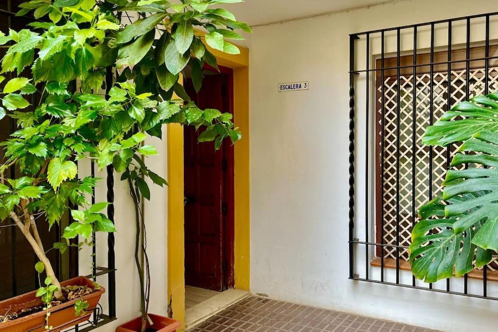 Apartamento Kenza Κόρδοβα Εξωτερικό φωτογραφία